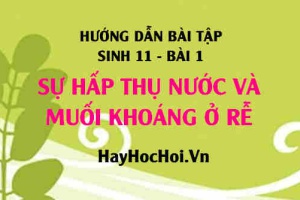 Câu hỏi và Bài tập Sinh 11 trang 9: Giải bài 1, 2, 3 trang 9 SGK Sinh học 11